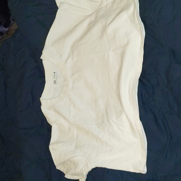 Zara Cropped Tee - Picture 1 of 3